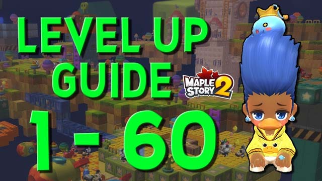 Leveling Guide